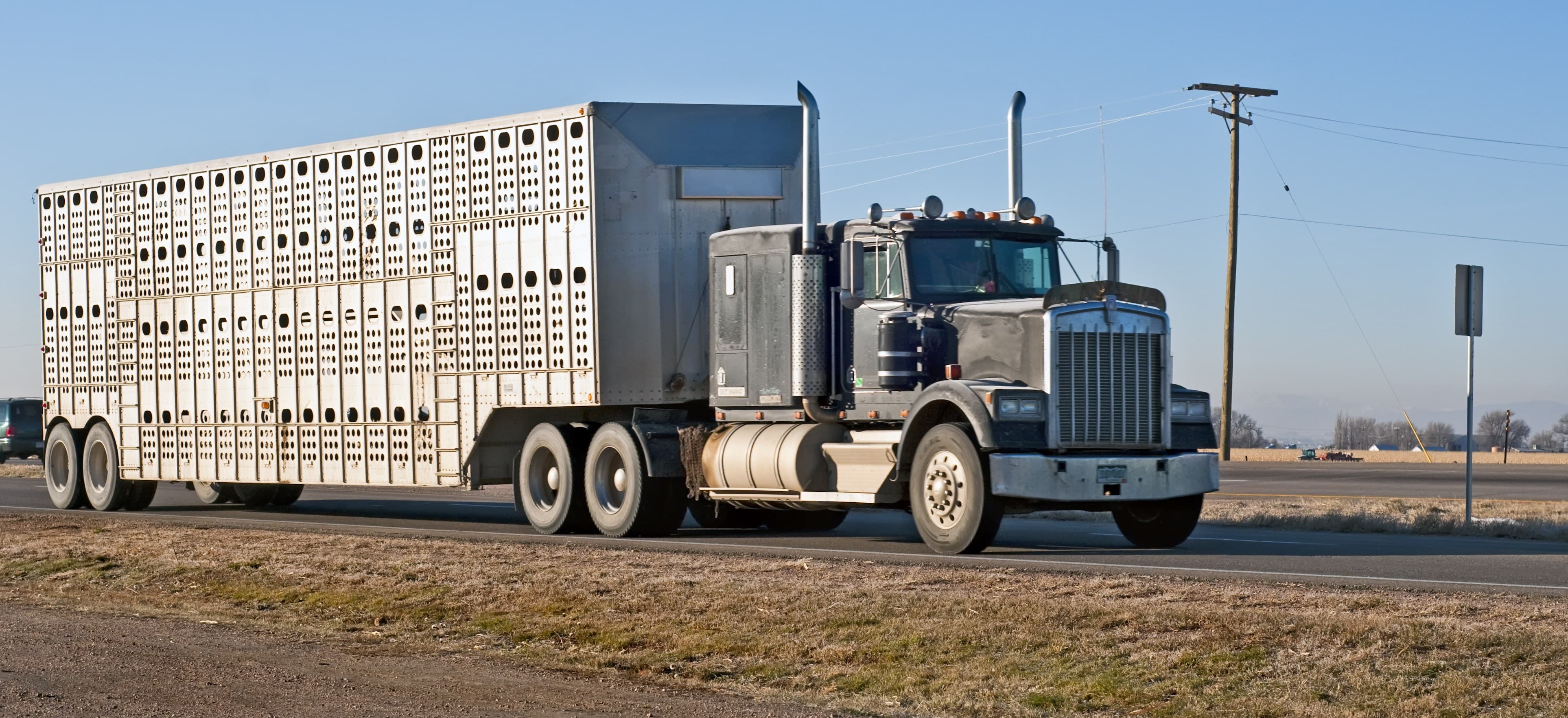 FMCSA seeks comments on definitions of agri, livestock commodities in