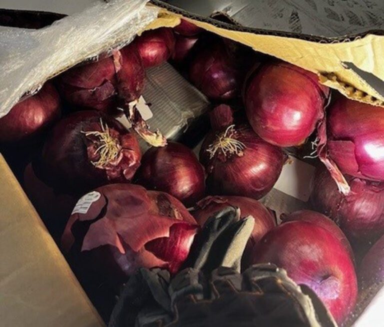 Indiana cops find more than 180 pounds of cocaine hidden in onion shipment