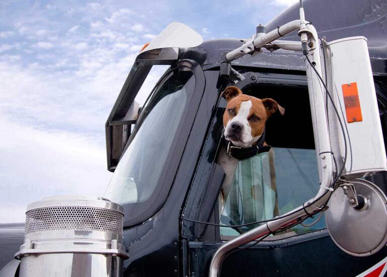 Truckstop says: Beware of ‘im-paw-sters’ during Take your Pet to Work Week