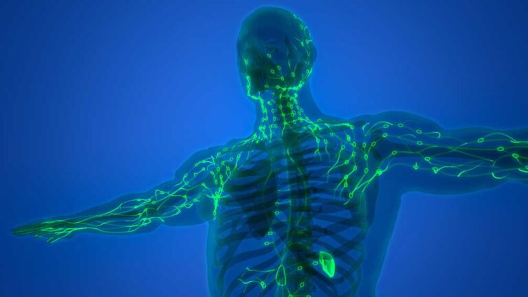 Did you know? Boosting your lymphatic system can help you keep on truckin’ for the long haul