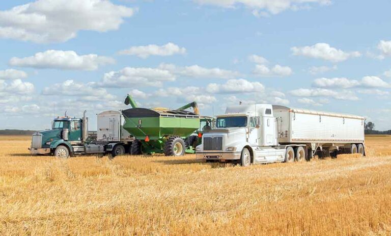 FMCSA grants exemption renewal to custom harvester drivers under 21