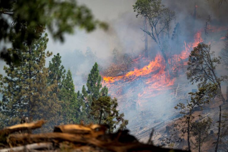 More than 100 active wildfires wreak havoc in the Western US and Canada