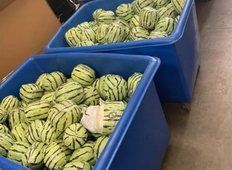 Summertime masquerade? Border agents find meth valued at $5 million disguised as watermelons