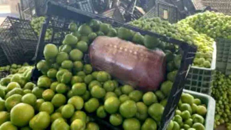 What’s in that salsa? CBP finds more than $450k in meth stowed in tomatillo shipment