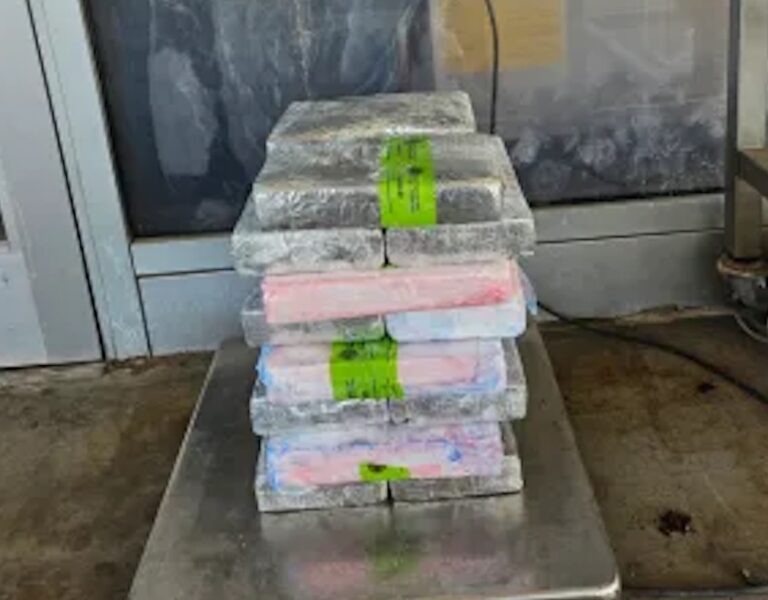 CBP officers seize $503K in cocaine at Pharr International Bridge