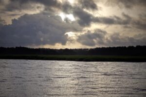 Sapelo Island copy