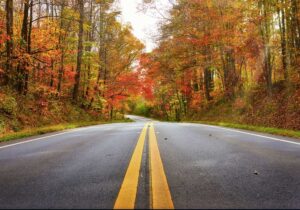 Autumn Highway iStock 1453478665 web