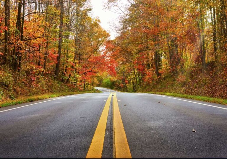 The road to mindfulness: Meditation can help truckers reduce physical and mental stress