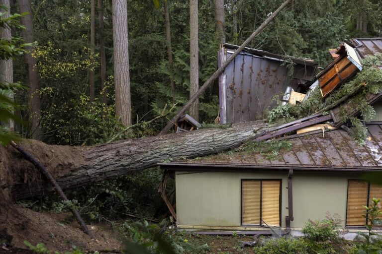 ‘Bomb cyclone’ kills 2 and knocks out power to over half a million homes across the Northwest US