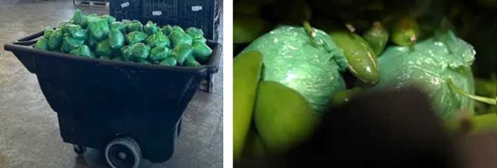 Spicy contraband: CBP intercepts over $31 million in meth hidden in truckload of peppers