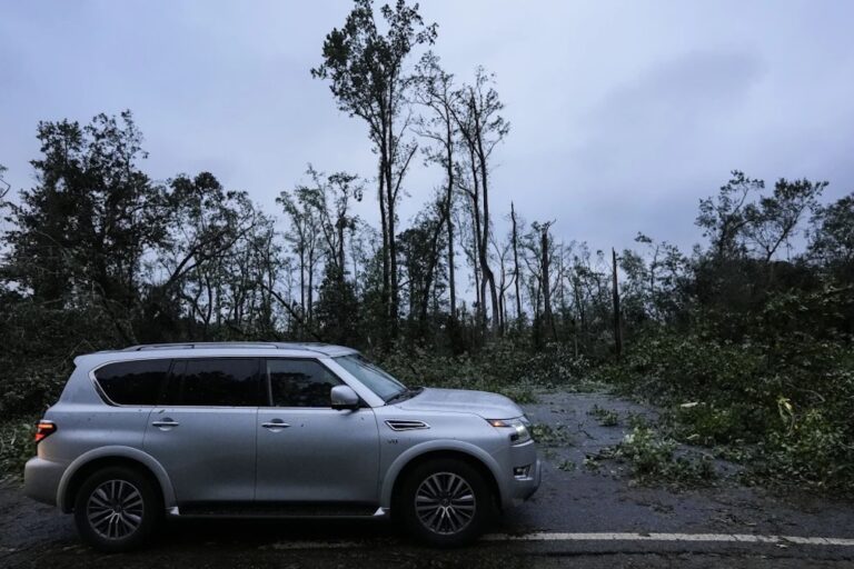 Georgia officials agree to spend $100 million on Hurricane Helene aid for farms and forestry