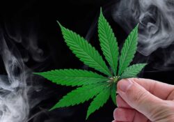 Marijuana iStock web