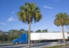 Semi Truck parked under palms