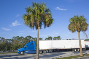 Semi Truck parked under palms