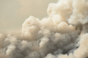 Dense white smoke rising from the raging wildfire