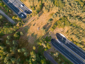 Wildlife ecoduct by drone