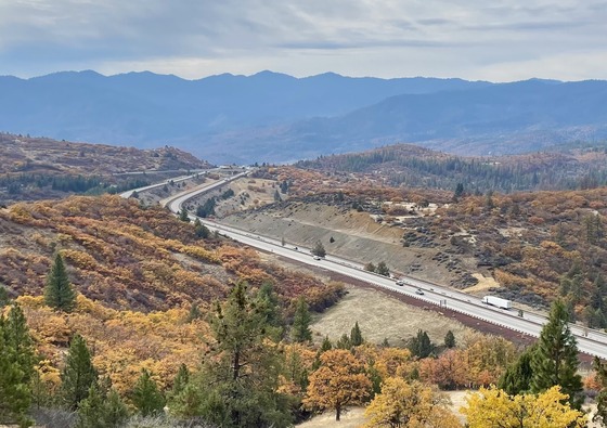 Wildlife Wins: I-5 gets first-ever overpass for animals