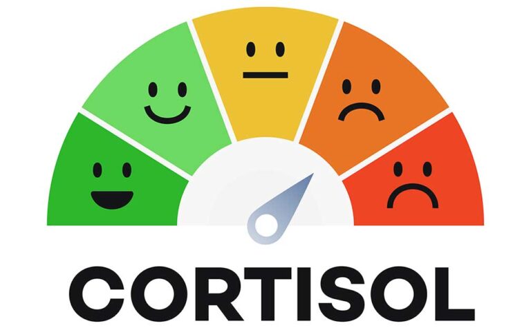 What is cortisol and why should truck drivers care?