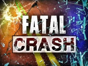 Fatal Crash Graphic