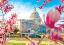 Capitol in Springtime iStock web