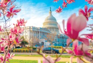 Capitol in Springtime iStock web