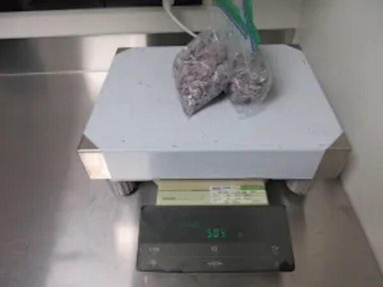 Seattle CBP officers seize more than 1 pound of fentanyl