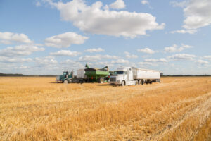 harvest time