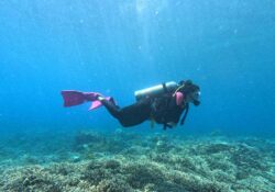 Elizabeth N Underwater2 web