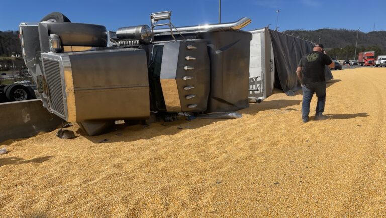 Corny chaos: I-75 in Georgia becomes a grainy adventure