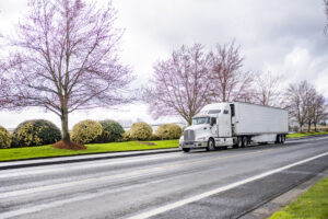 Bonnet big rig white big rig semi truck transporting cargo in refrigerator semi trailer running on the local road with blooming spring trees on the side